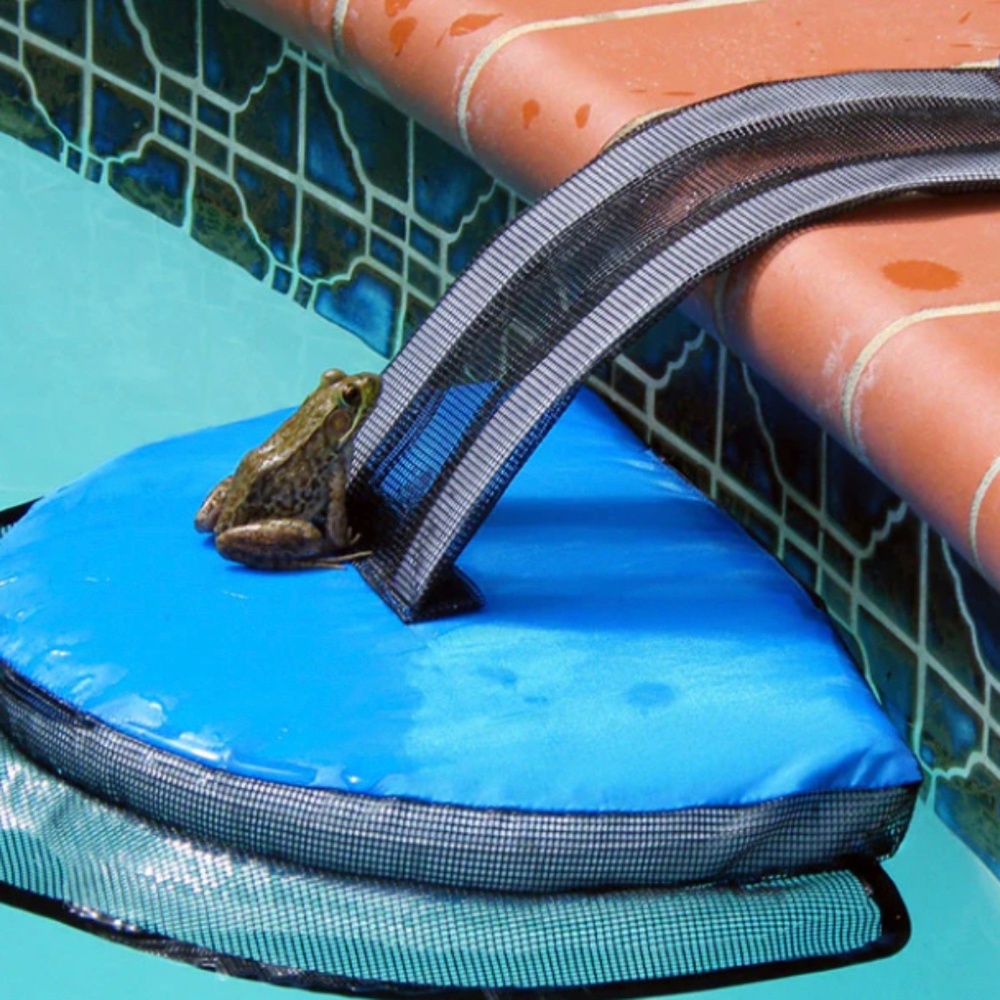 Frog Log Critter Saving Escape Ramp - Picture 4 of 9